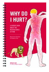 Why Do I Hurt? - Spiral Book